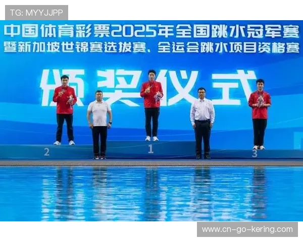 全运会跳水赛事：打造体育文化交流新平台